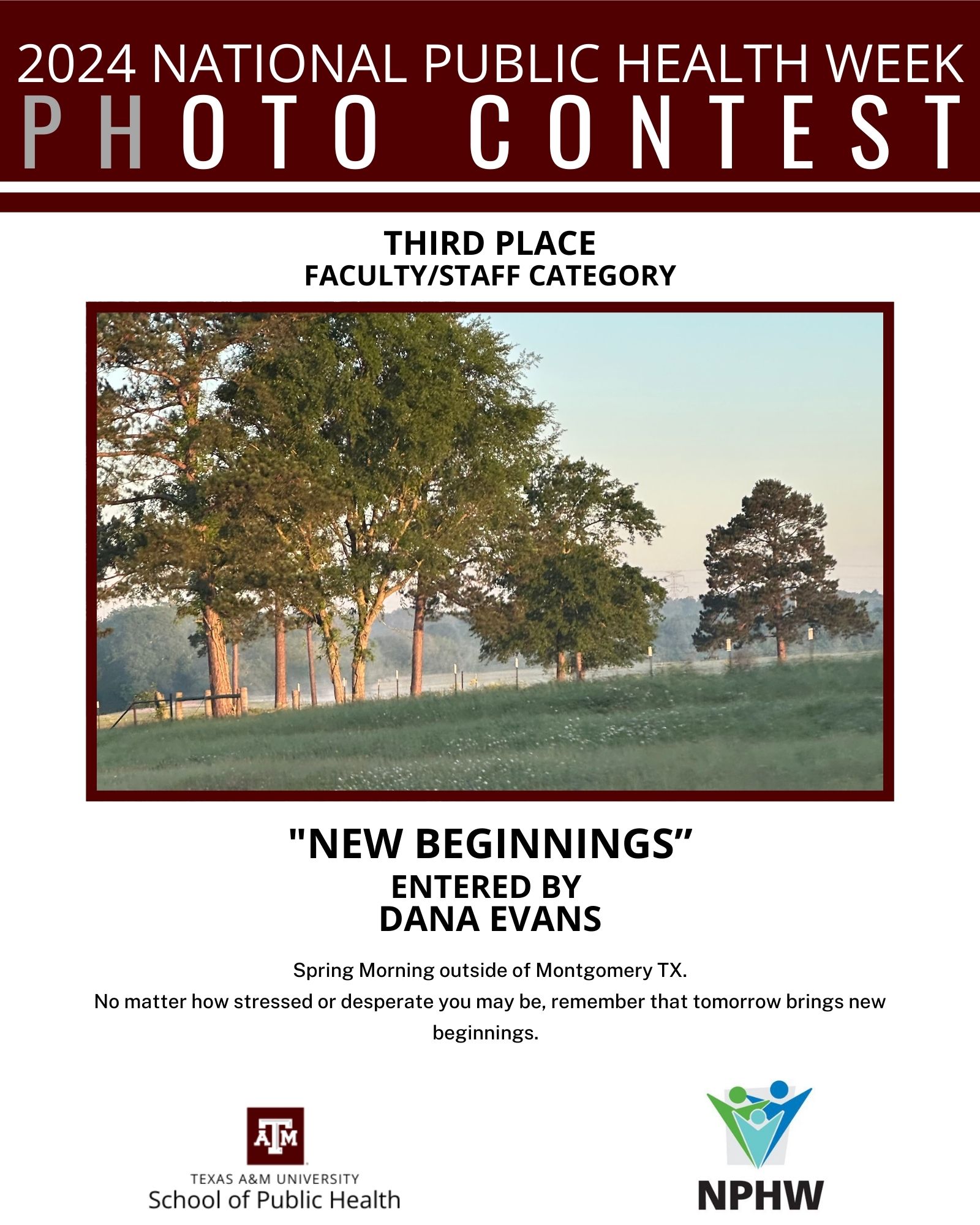 "New Beginnings" - 3rd Place Faculty/Staff Winner